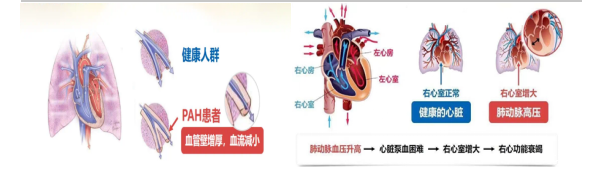 1718318783229849.png image.png