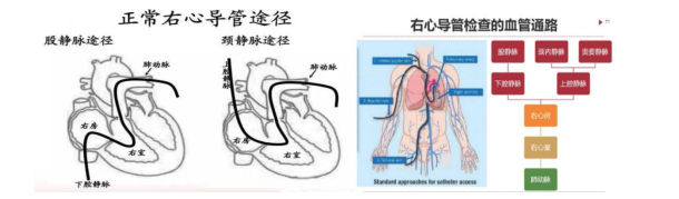 1718318831955001.png image.png