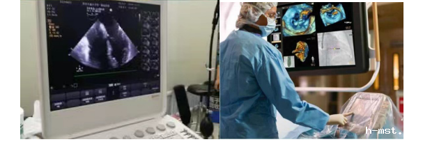 1718318863621533.png image.png