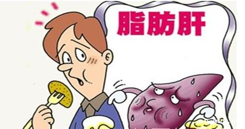 脂肪肝2.png